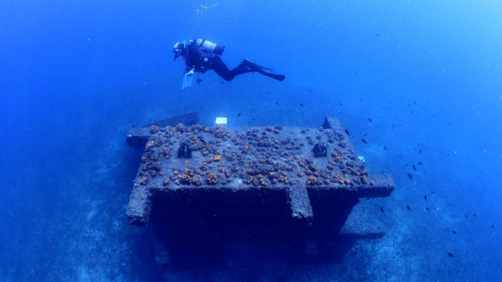 Vista general de un arrecife.