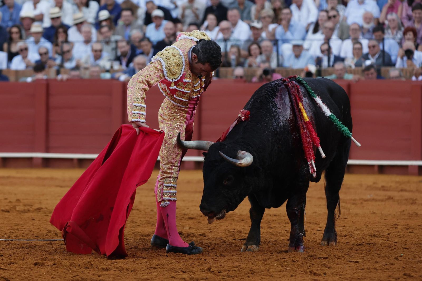 Las imágenes del primer festejo de San Miguel