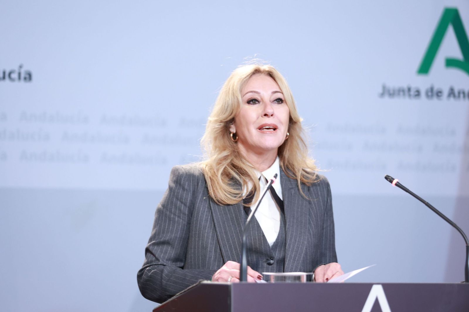 La consejera de Hacienda de la Junta de Andalucía, Carolina España, en una comparecencia pública en San Telmo.