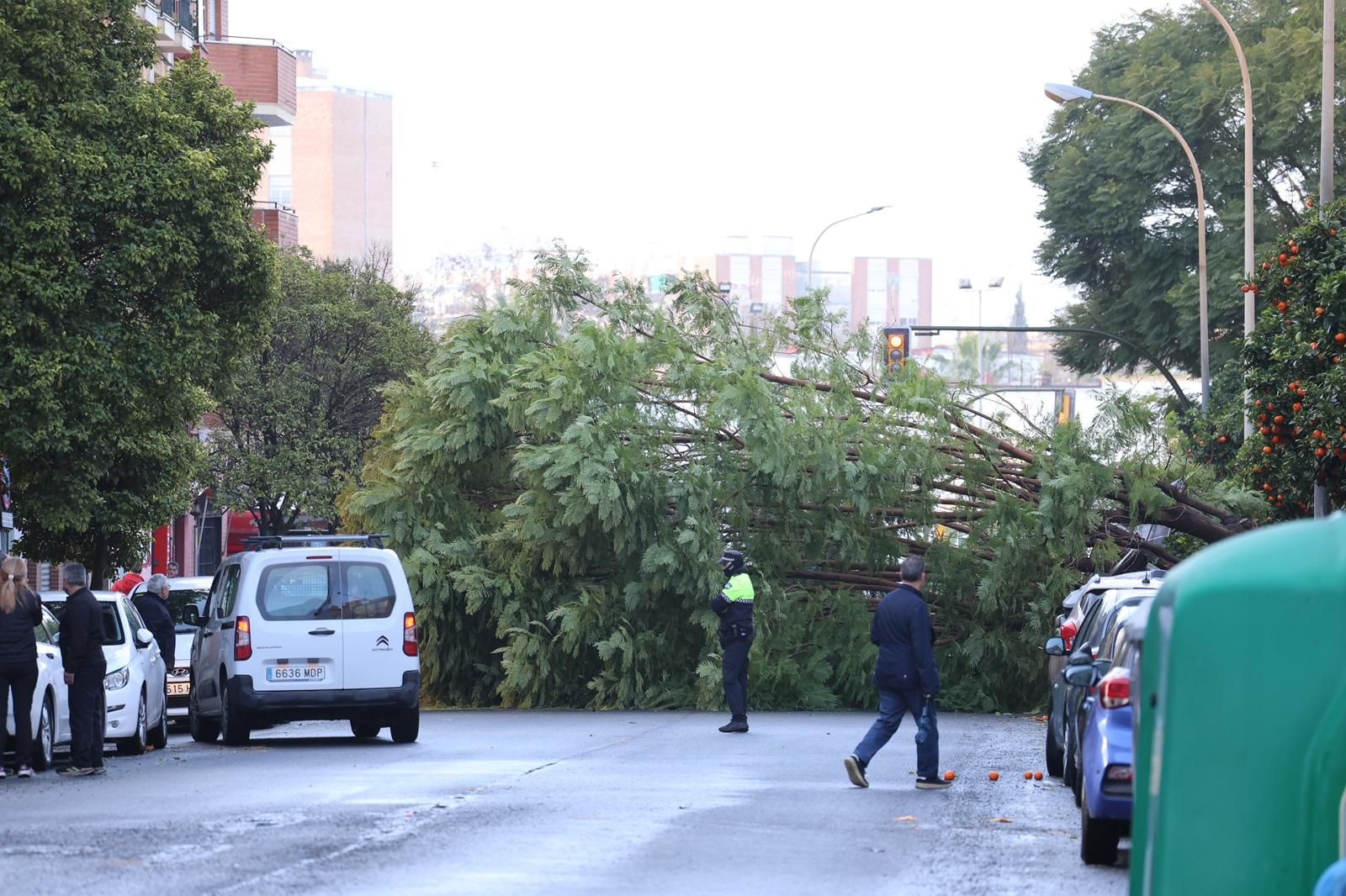 La borrasca Joseph a su paso por la ciudad, en fotografías