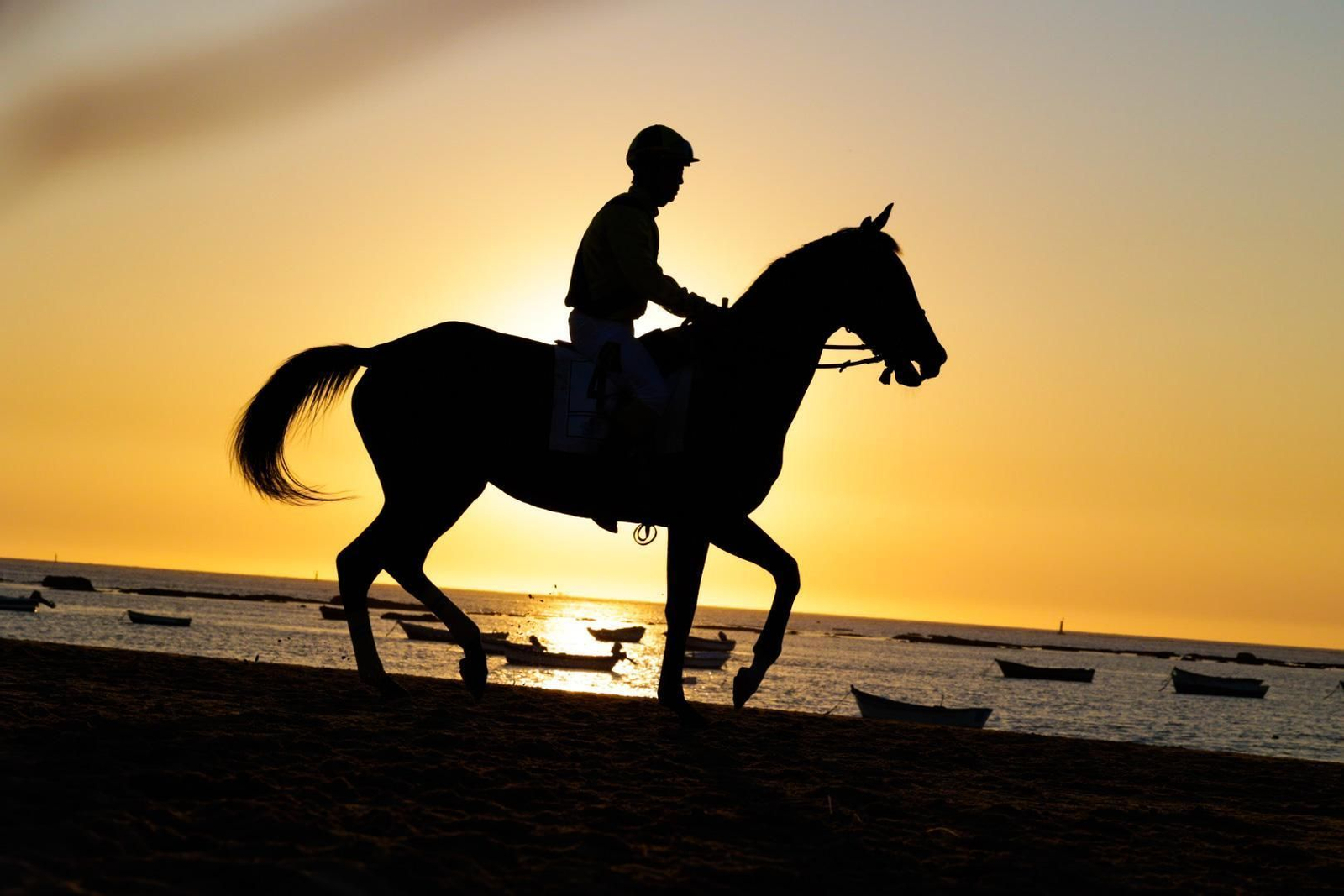 Imagen de la segunda jornada del ciclo final de las Carreras de Caballos de Sanlúcar 2025