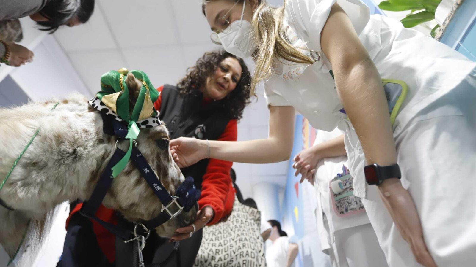 Una sanitaria acaricia a uno de los caballitos.
