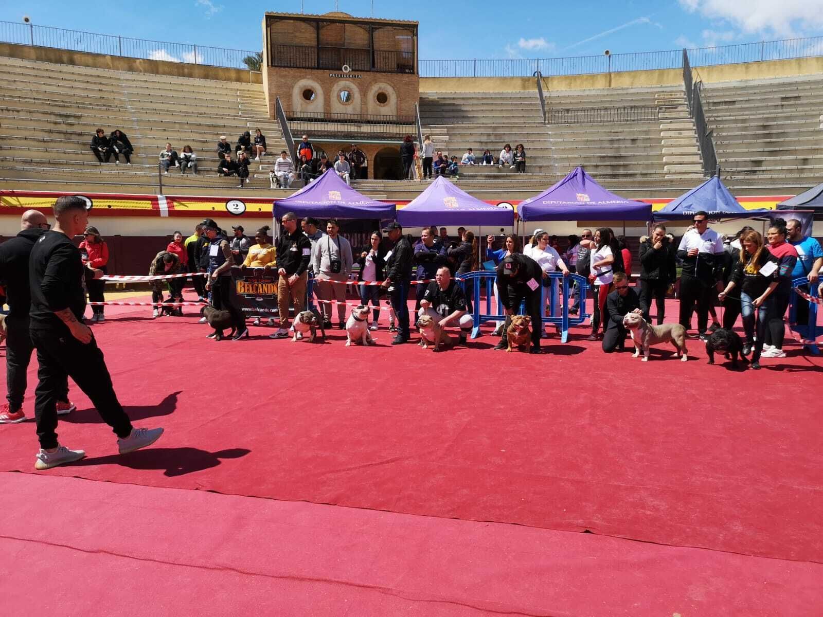 La Asociación Canófila Española organiza concursos de belleza canina durante todo el año.