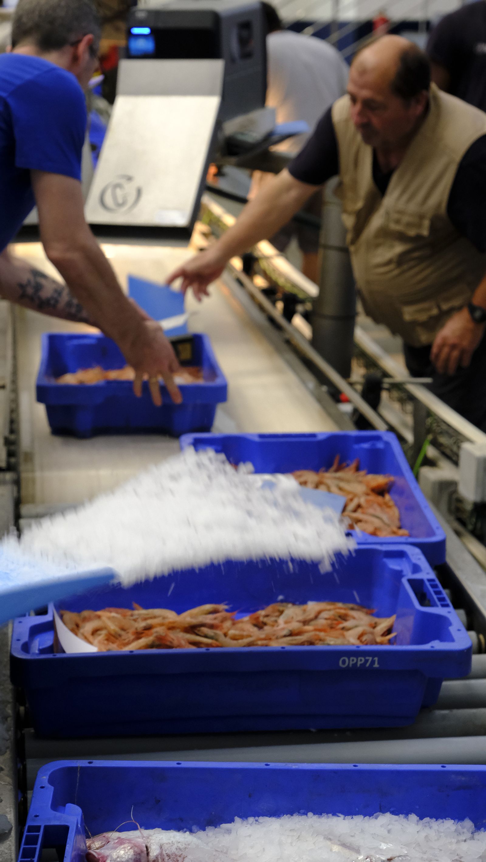 Imágenes de la visita guiada a la Lonja del Puerto Pesquero de Almería