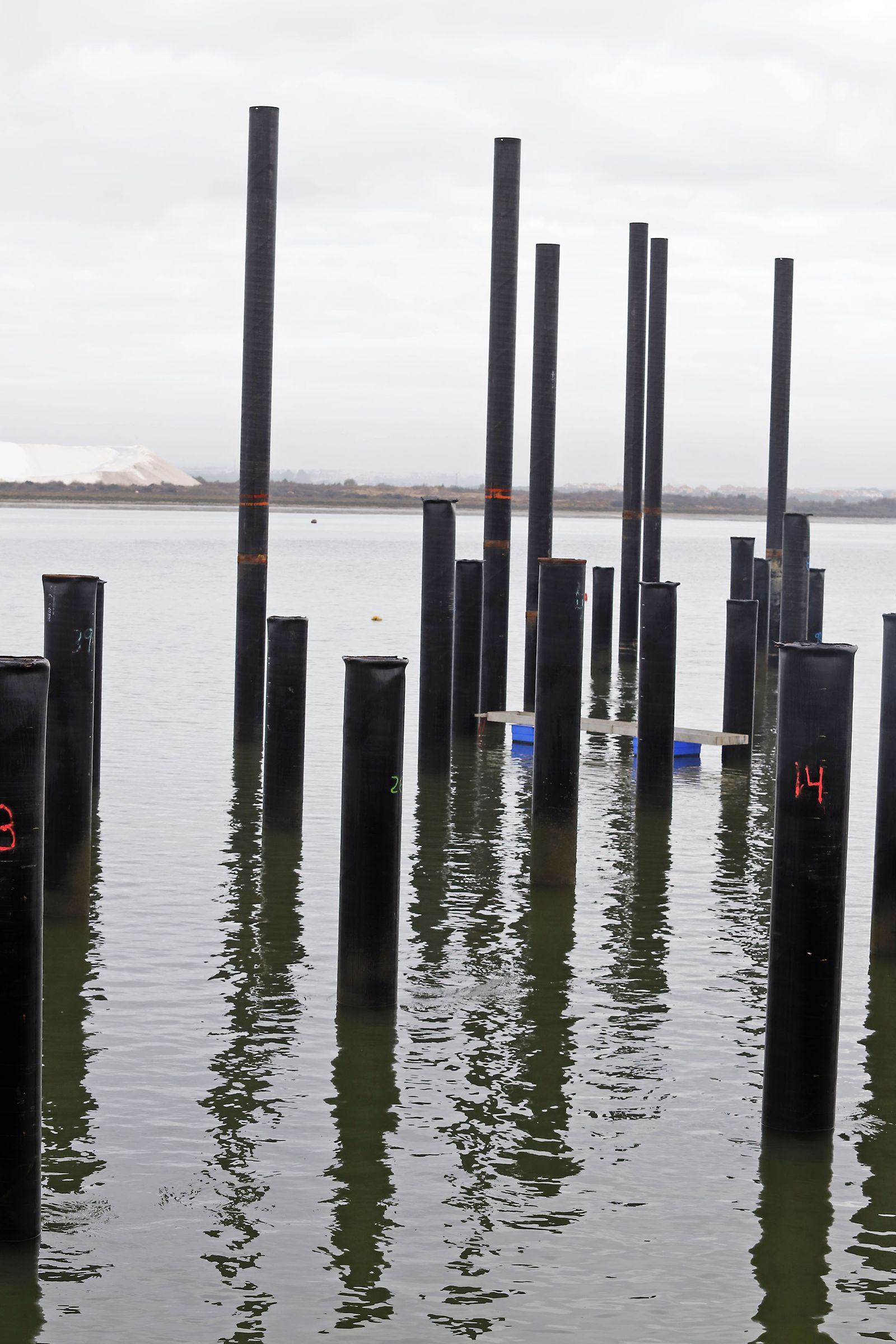 Imágenes de las obras de remodelación del Muelle de Levante.
