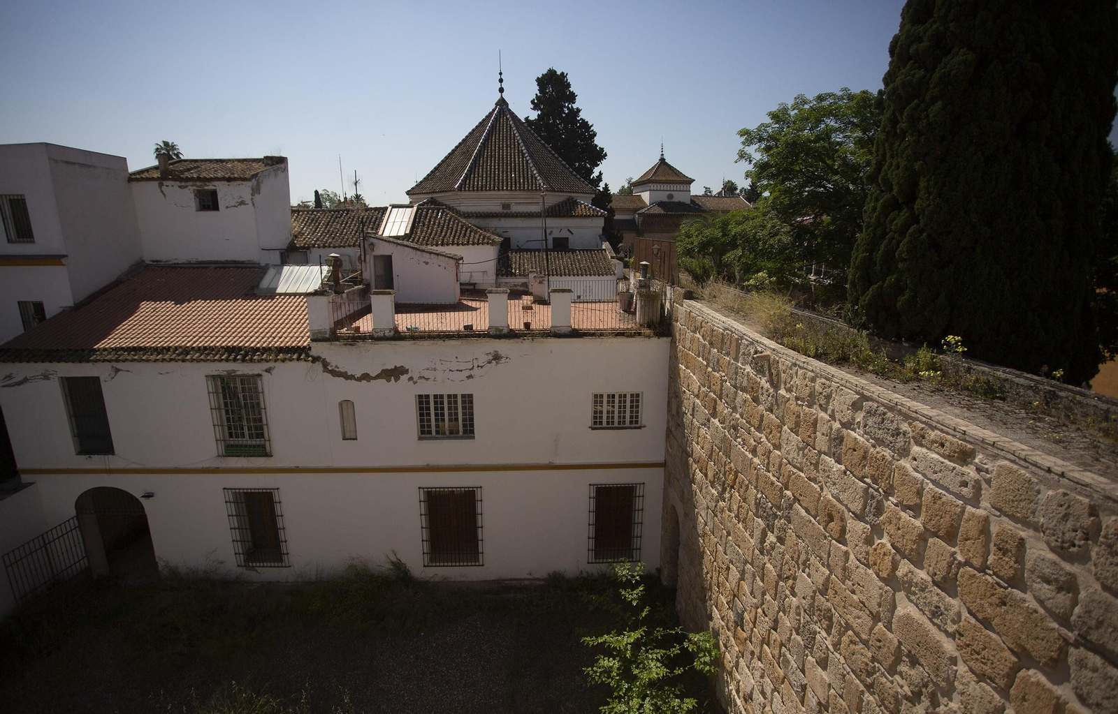 Los restos del primer palacio del Alcázar de Sevilla, en fotos