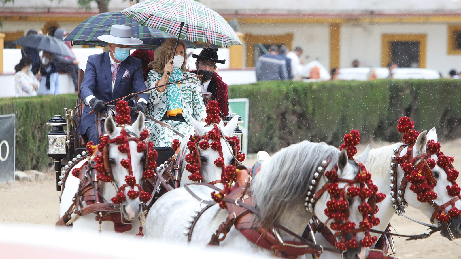 Entrega del Caballo de Oro 2020 al cochero Antonio Carrasco