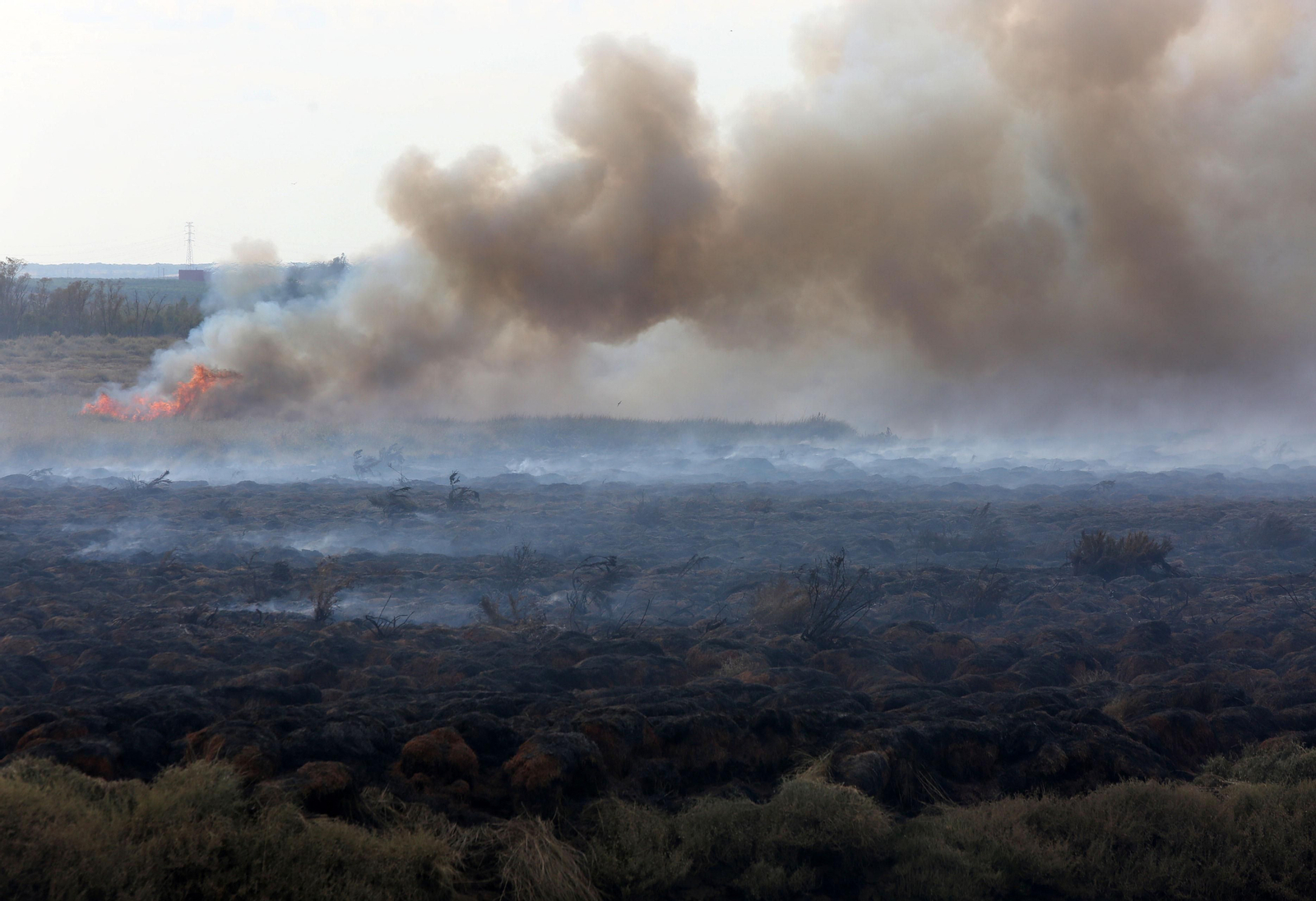 Imágenes del incendio declarado en marismas del Odiel