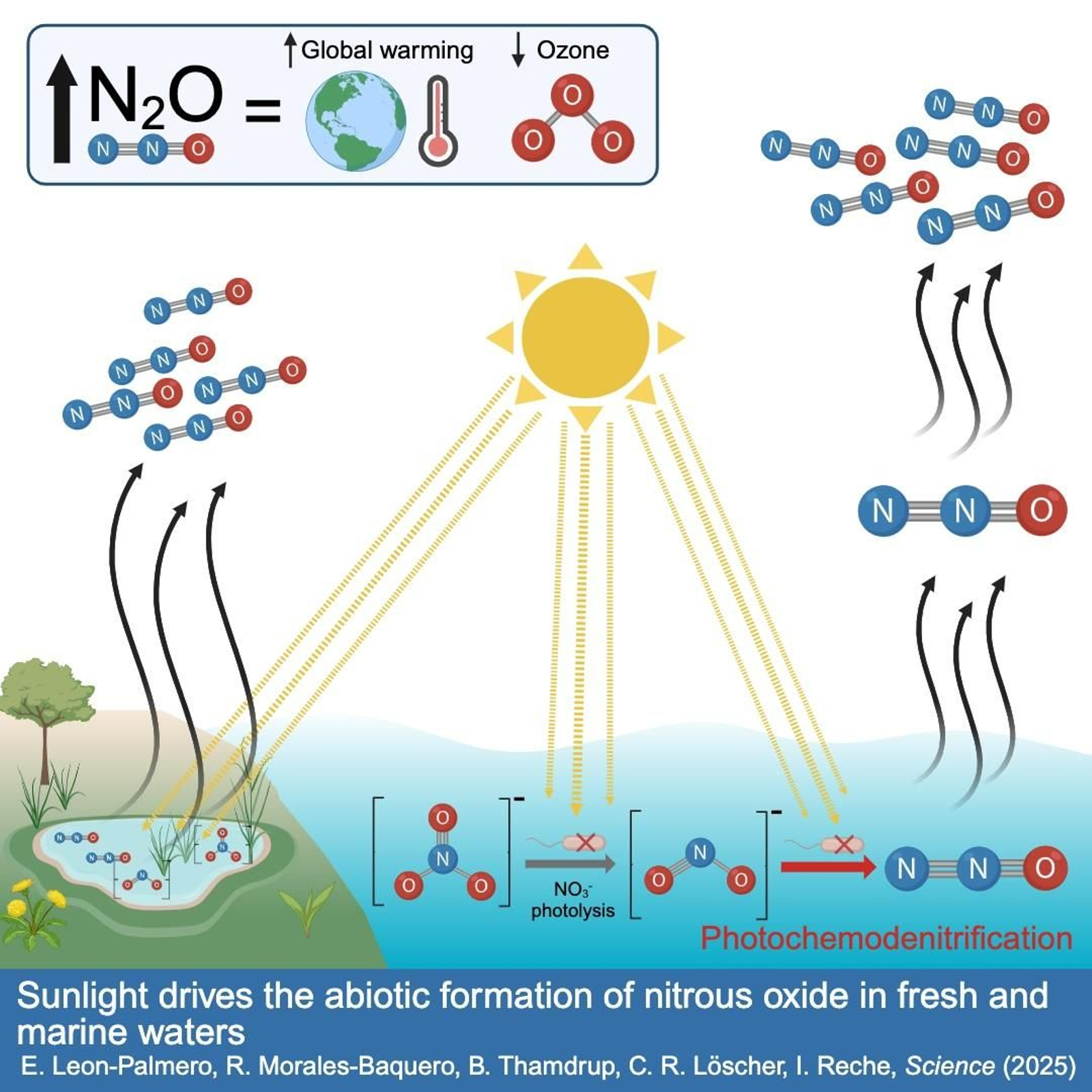 Representación gráfica del proceso descubierto