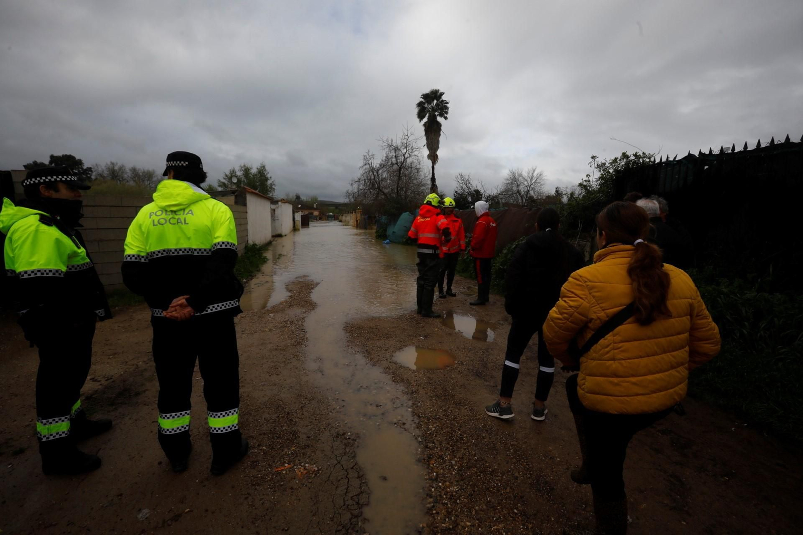 Las imágenes de las parcelaciones inundadas por la crecida del río Guadalquivir
