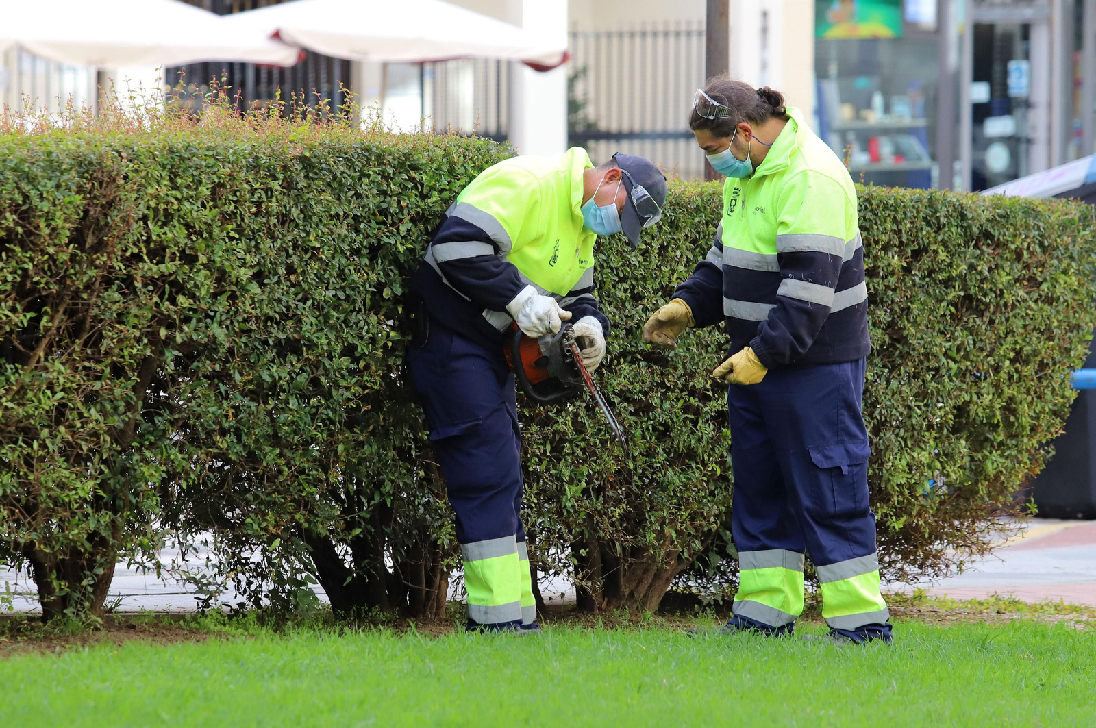 Imágenes del martes 24 de noviembre en Huelva