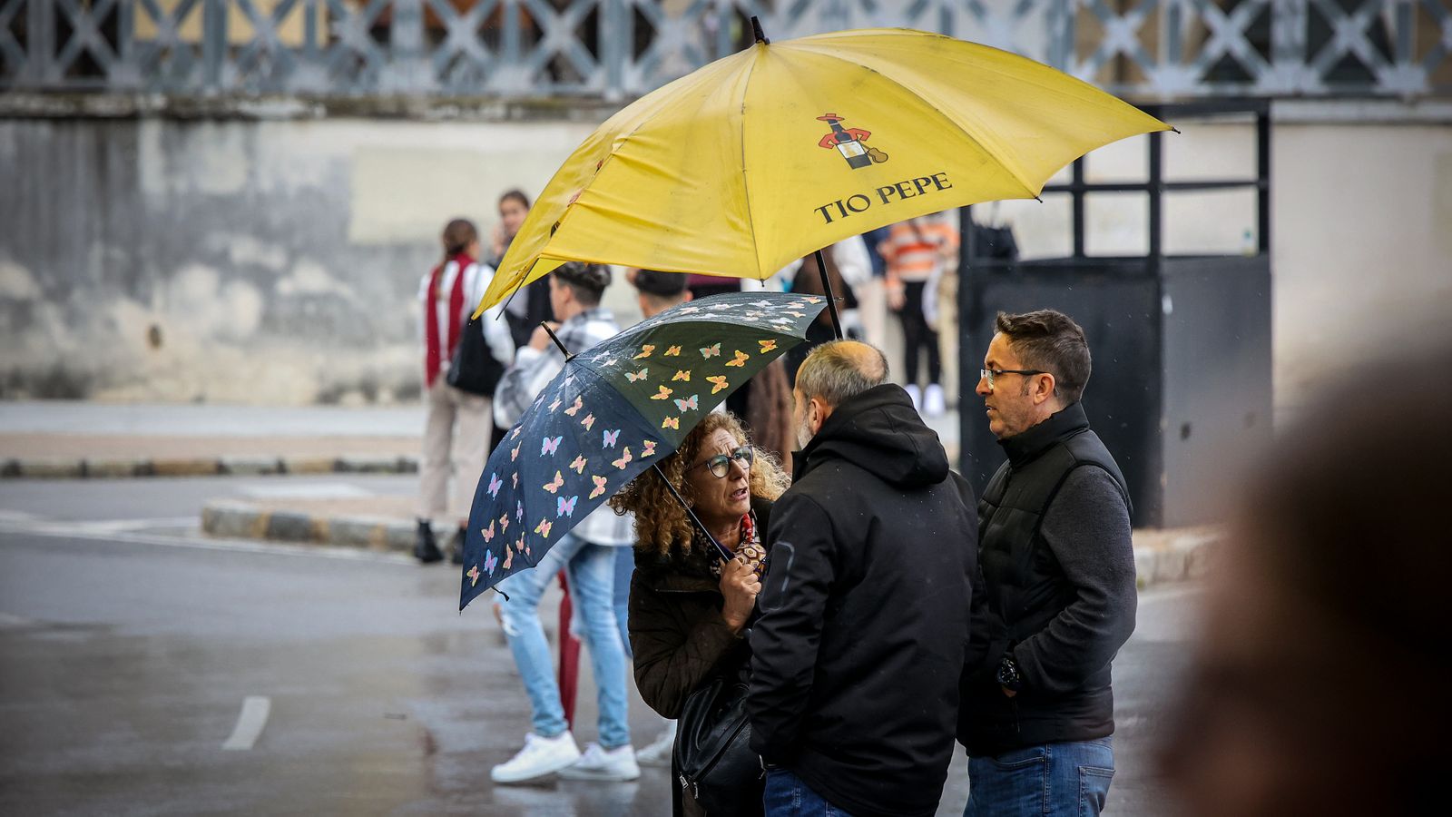 La Hermandad de la Candelaria de Jerez en imágenes