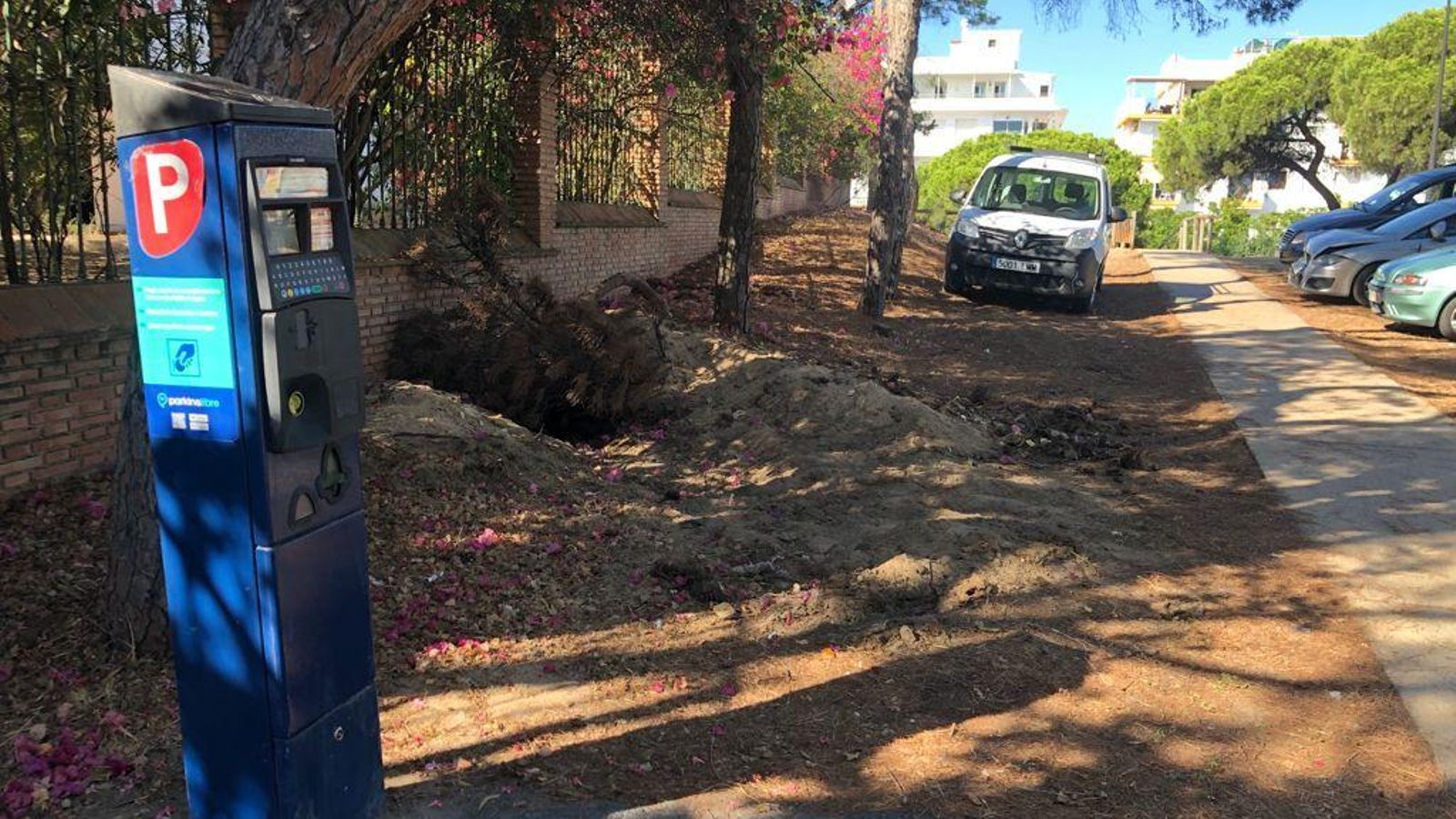 Parquímetro para el estacionamiento en el descampado ubicado entre la arena y los pinos, a las puertas de un chalé.