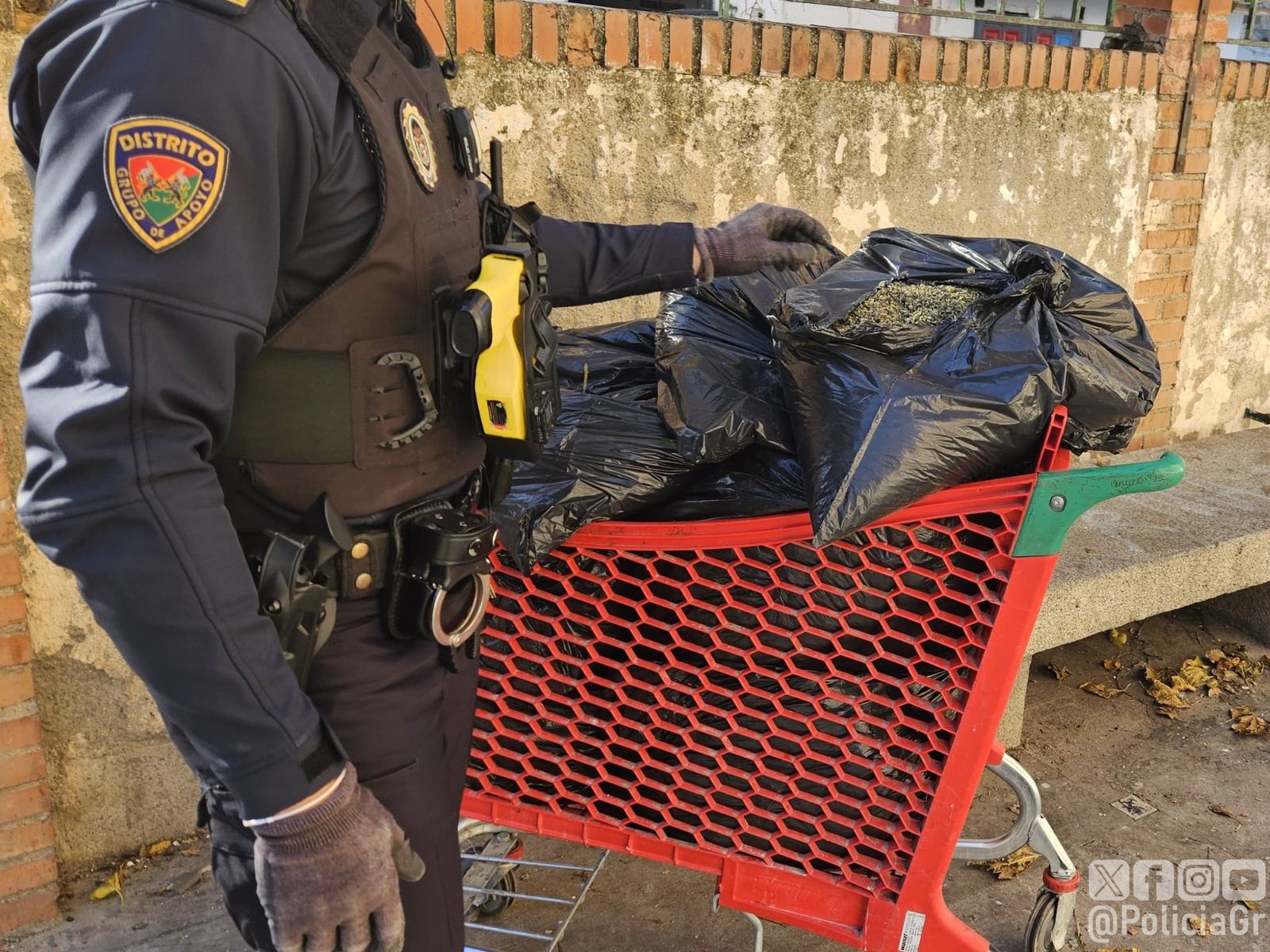 Carro con las bolsas que contenían plantas y marihuana.