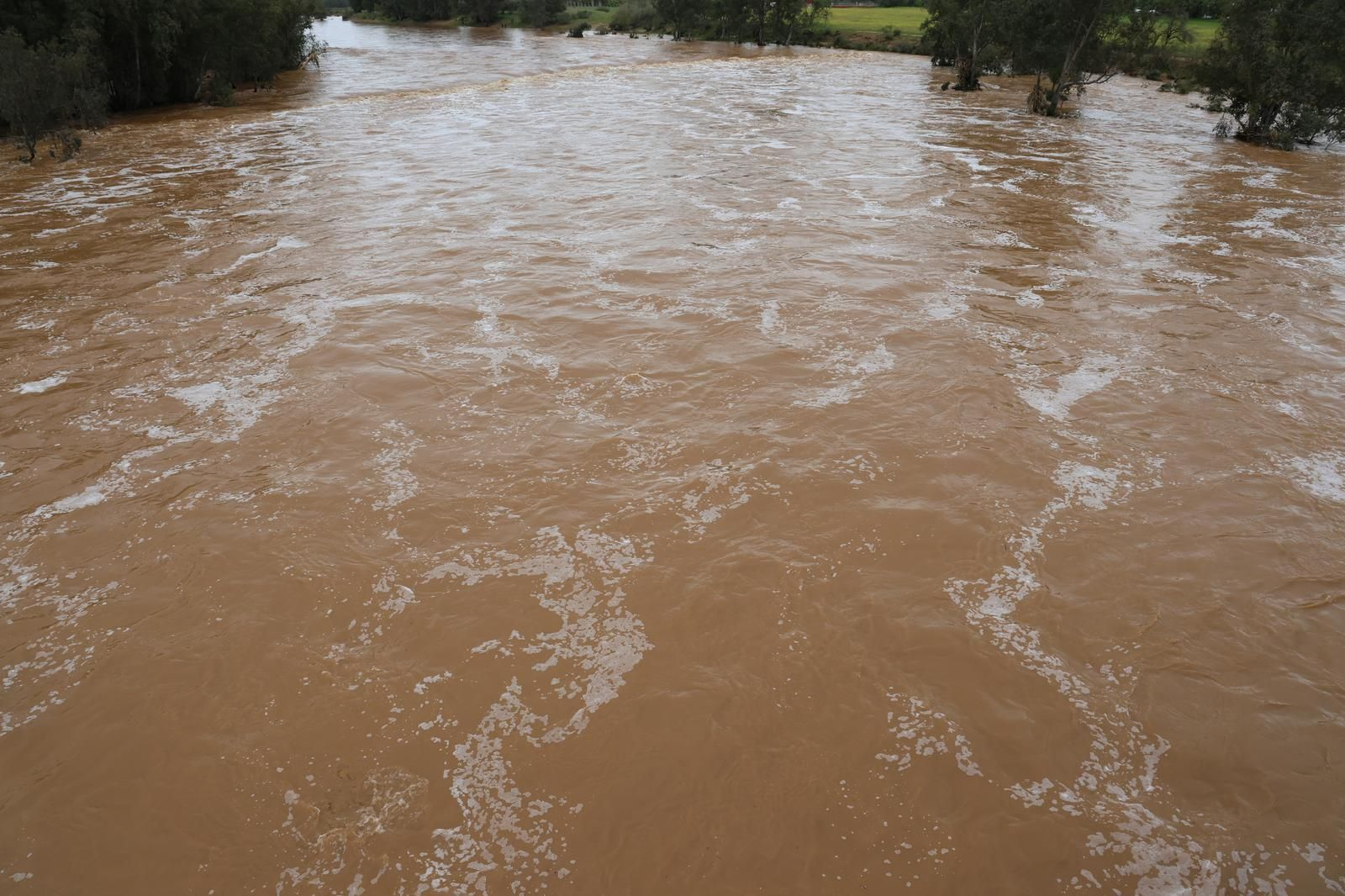 Imágenes del río Tinto a su paso por Niebla tras la borrasca Laurence