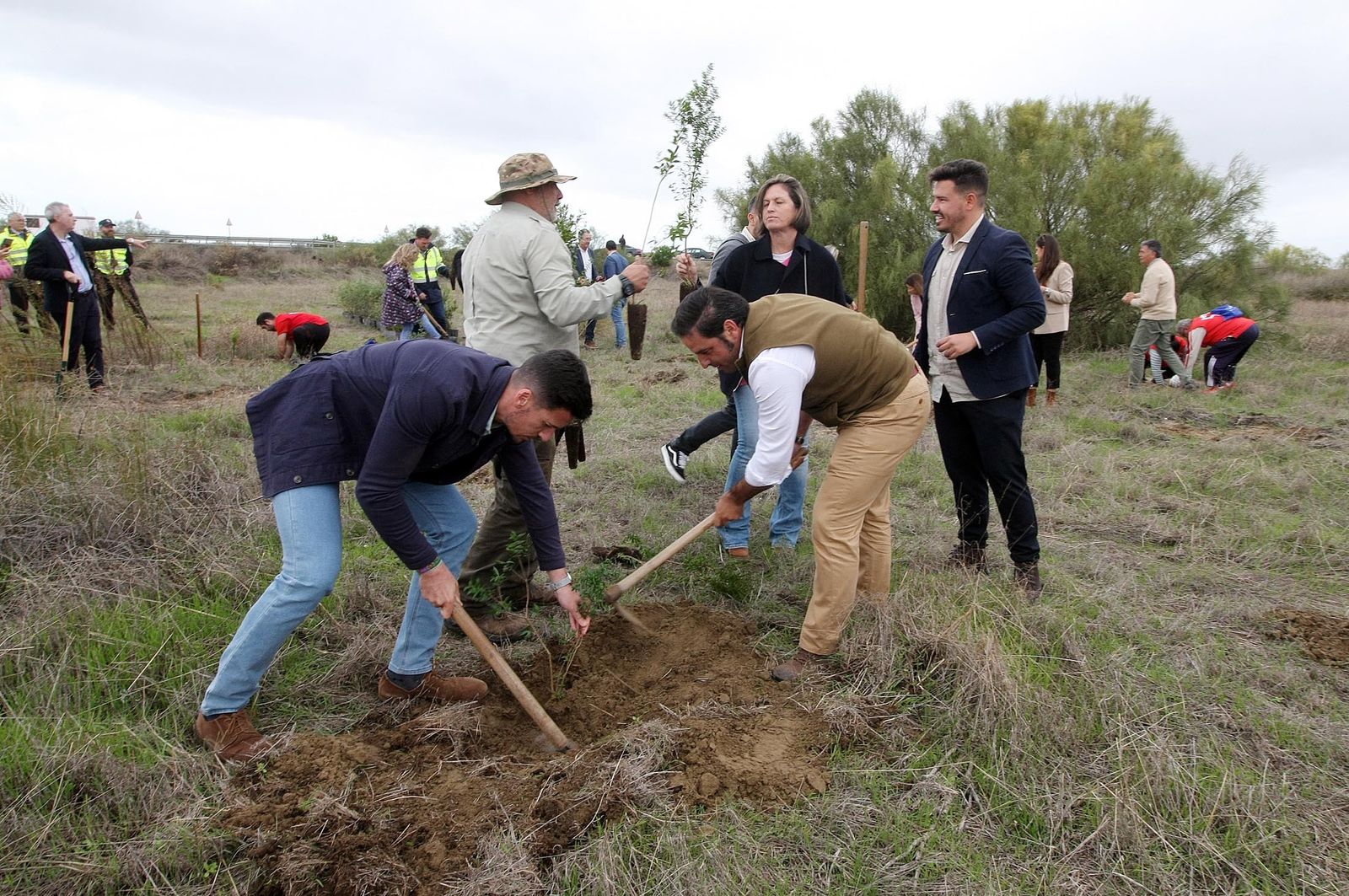 Imágenes de la plantación de árboles en los Llanos de Bacuta, en el Paraje Natural Marismas del Odiel, Huelva