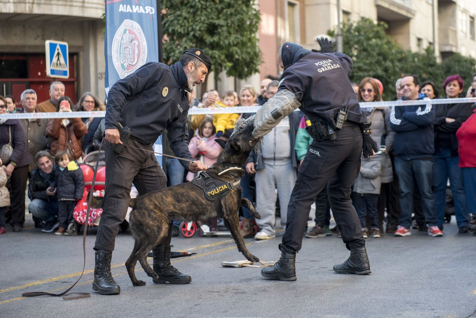 Las imágenes del Día sin coches