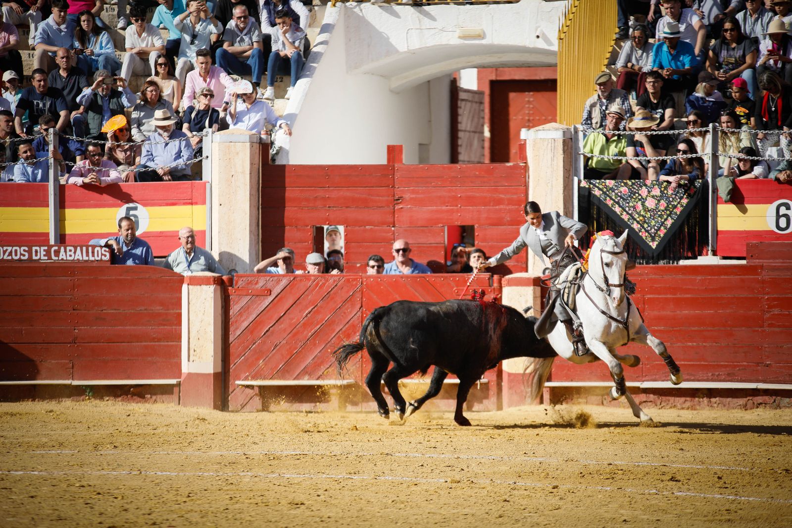Imágenes del festival mixto lucha contra el cáncer