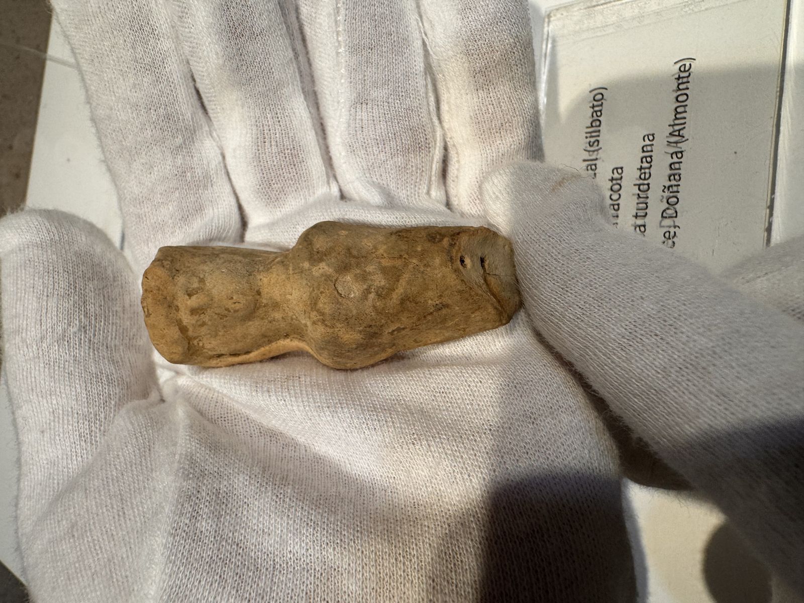 Imágenes de la Recepción en el Museo de Huelva del silbato turdetano hallado en Doñana