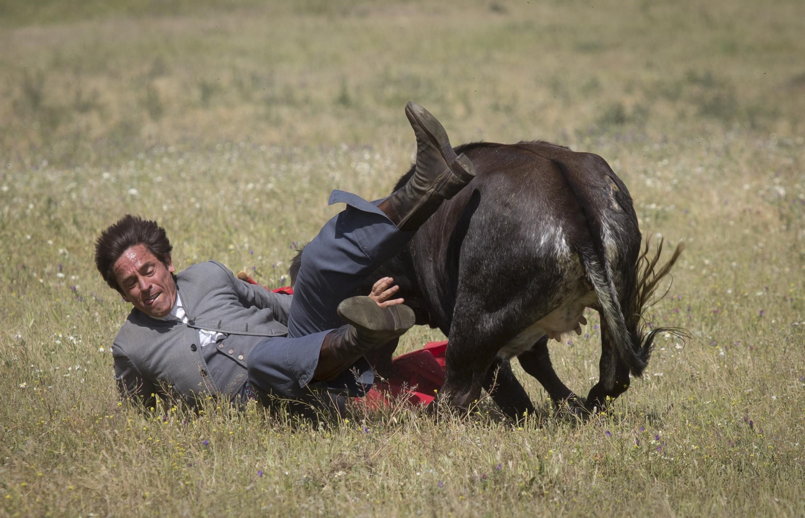 La celebración del 175 aniversario de la ganadería Miura, en imágenes