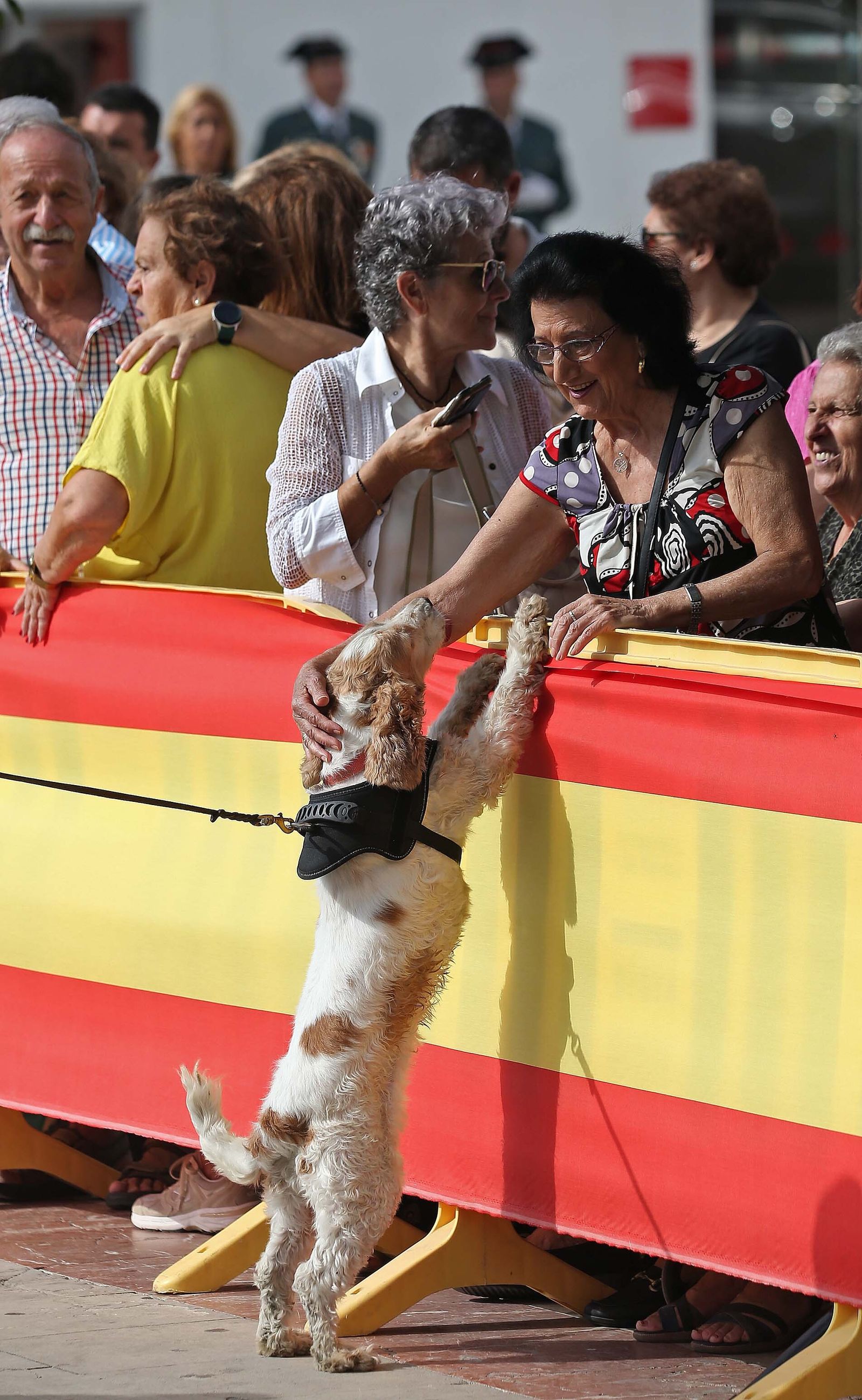 Fotos de la celebración de la Virgen del Pilar en Los Barrios