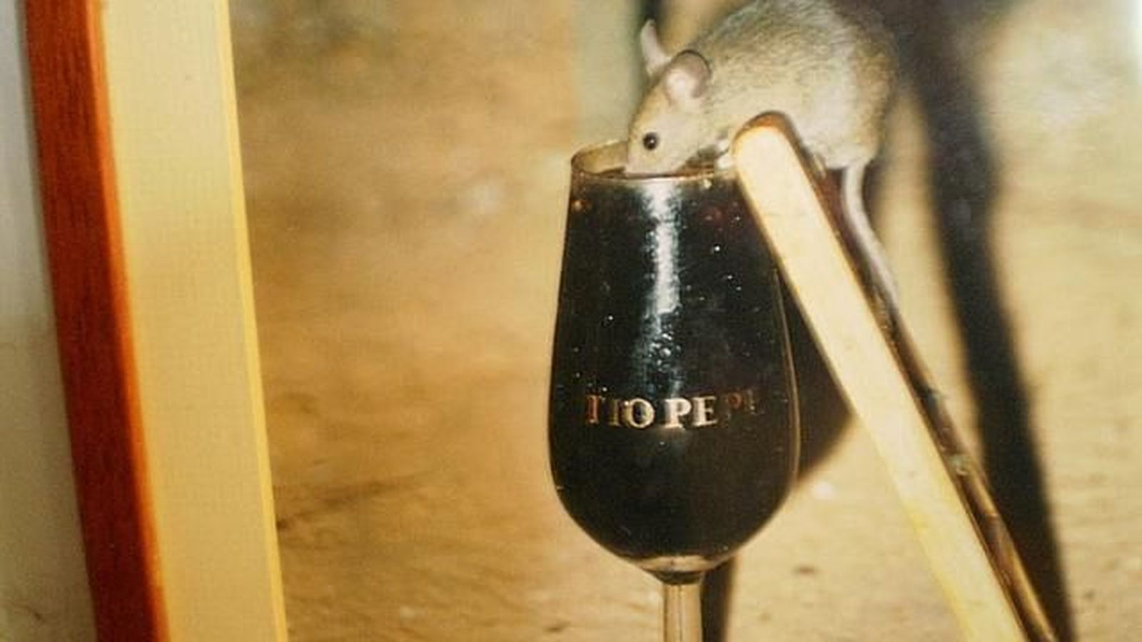 Los ratones de González Byass bebiendo un Jerez