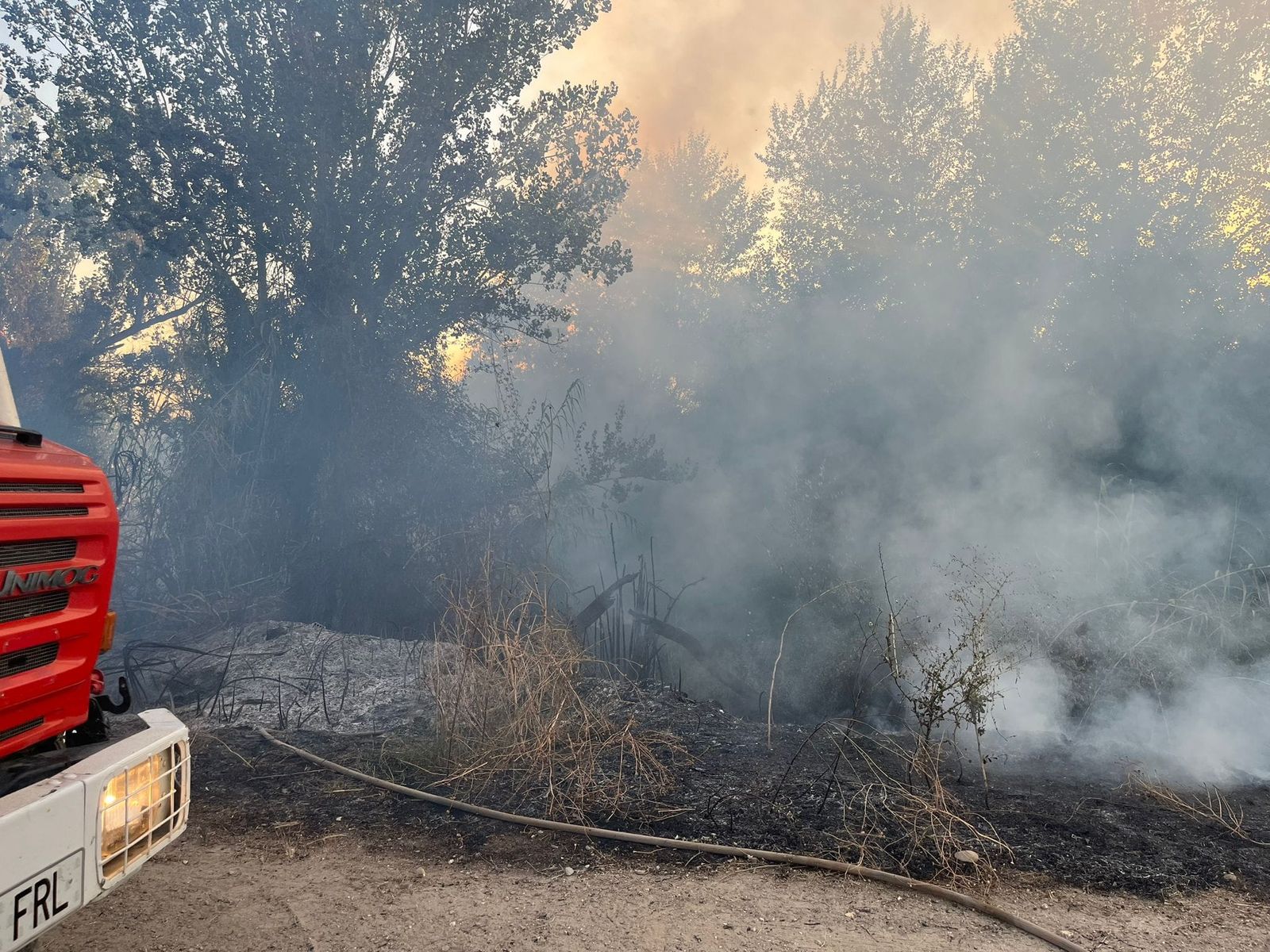 Incendio forestal en Bollullos.