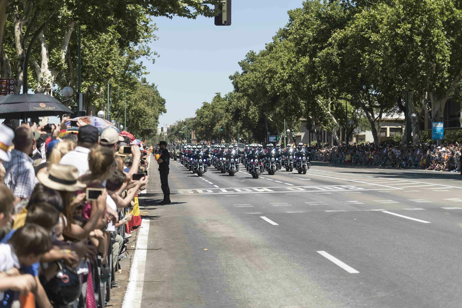 Las imágenes del desfile del Día de las Fuerzas Armadas en Sevilla