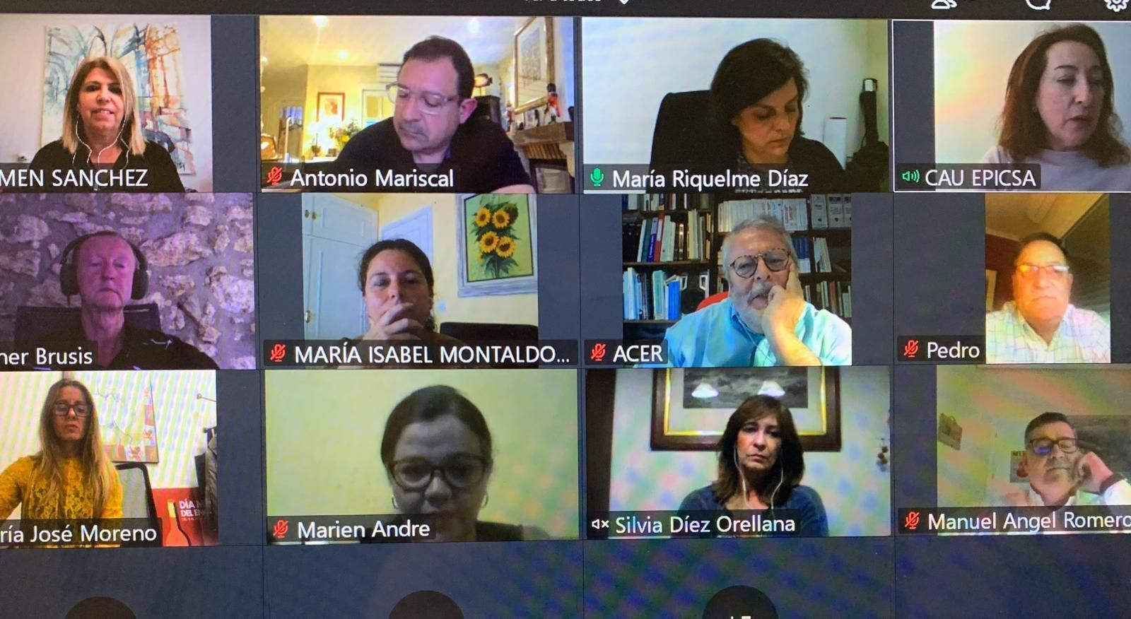 Encuentro telemático de los responsables y técnicos municipales con los expertos.