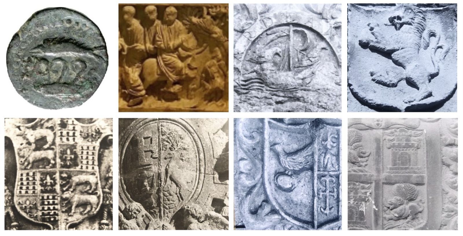 Y se quedaron de piedra (II): Fauna petrificada de almería