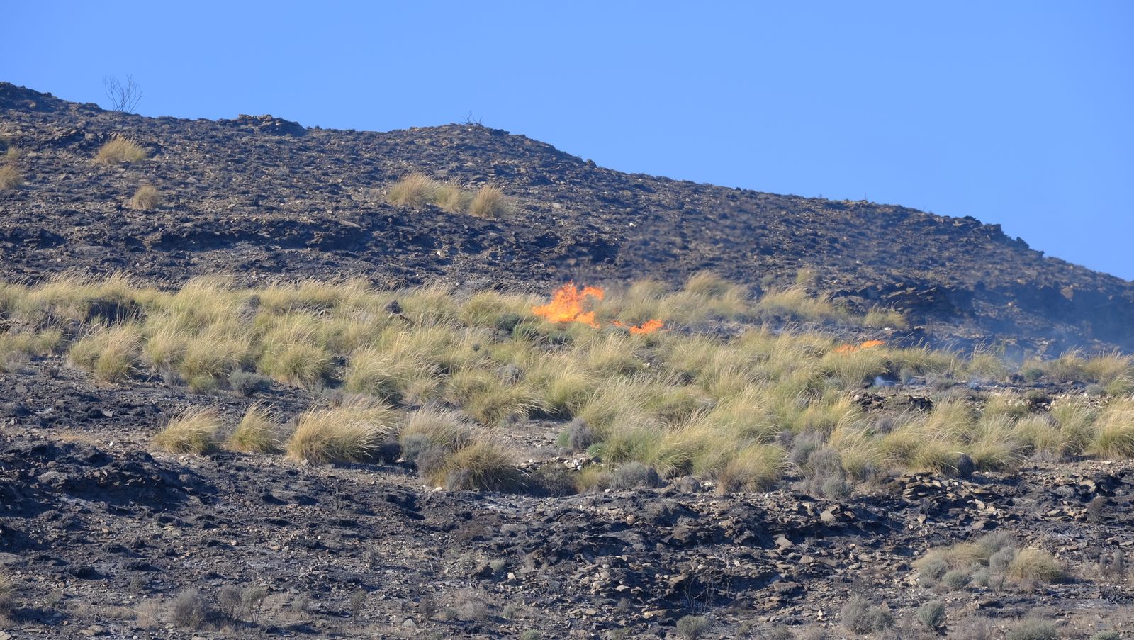 Fotogalería incendio en Castro de Filabres. Almería
