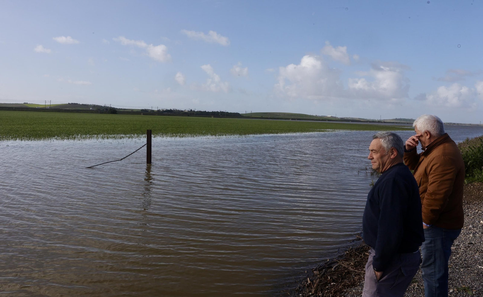 El campo en Lebrija inundado tras las lluvias