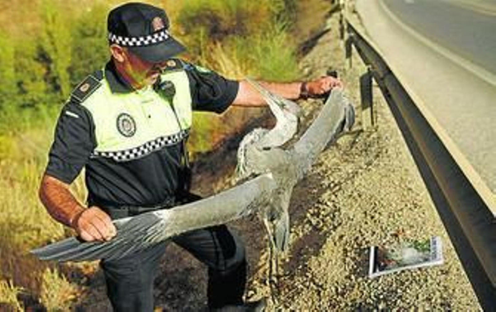 Un agente con la garza muerta.