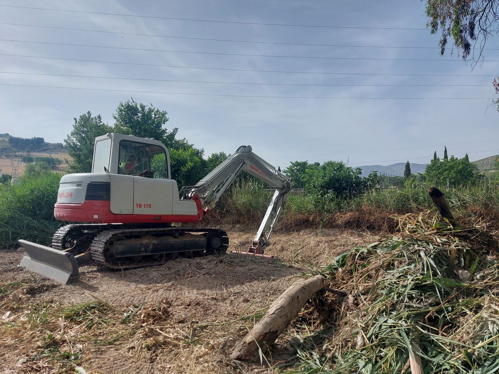Trabajos de limpieza del arroyo Marbella en Baena.