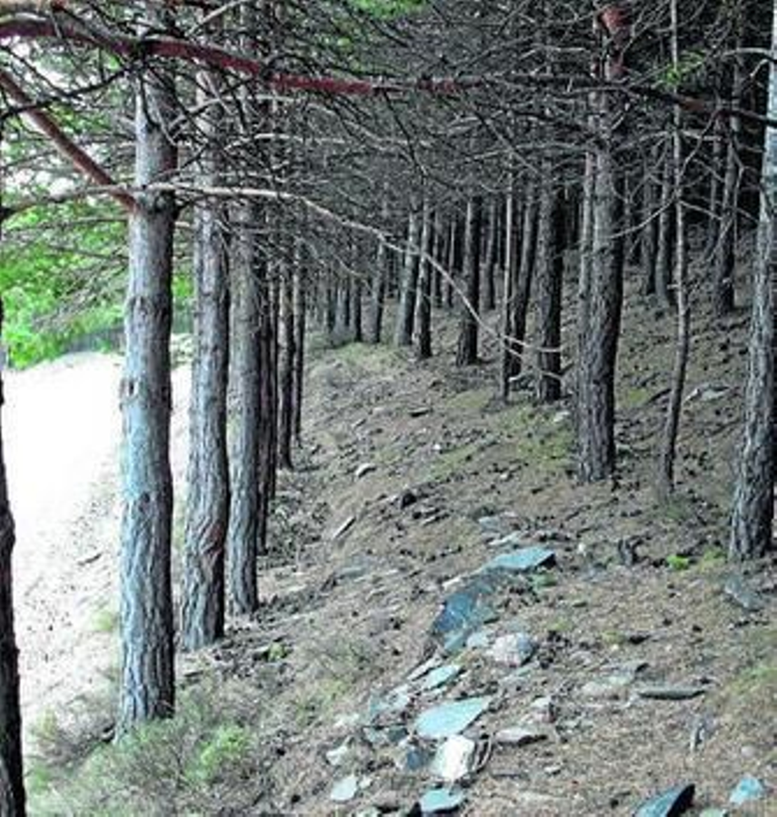 Un paraje del parque natural de Sierra Nevada.