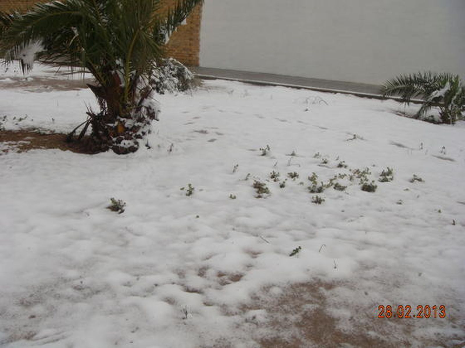 Las imágenes de las nevadas en la provincia de Sevilla