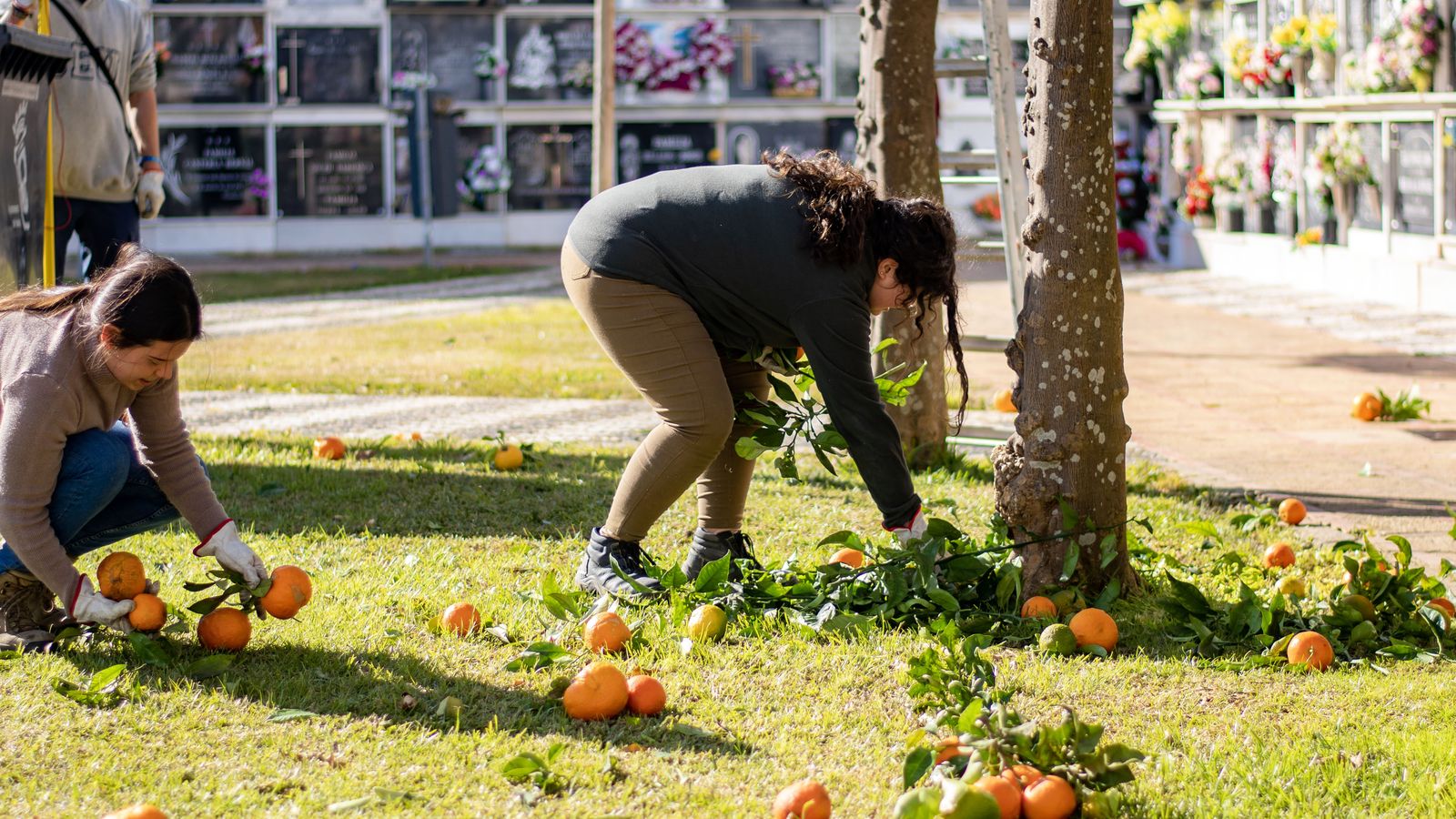 Alumnos de Jardinería del IES La Marisma realizando prácticas en el Cementerio municipal