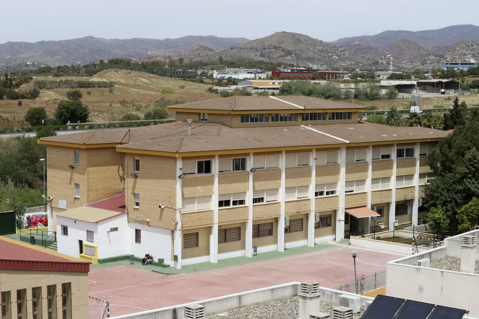 Campanillas en fotos