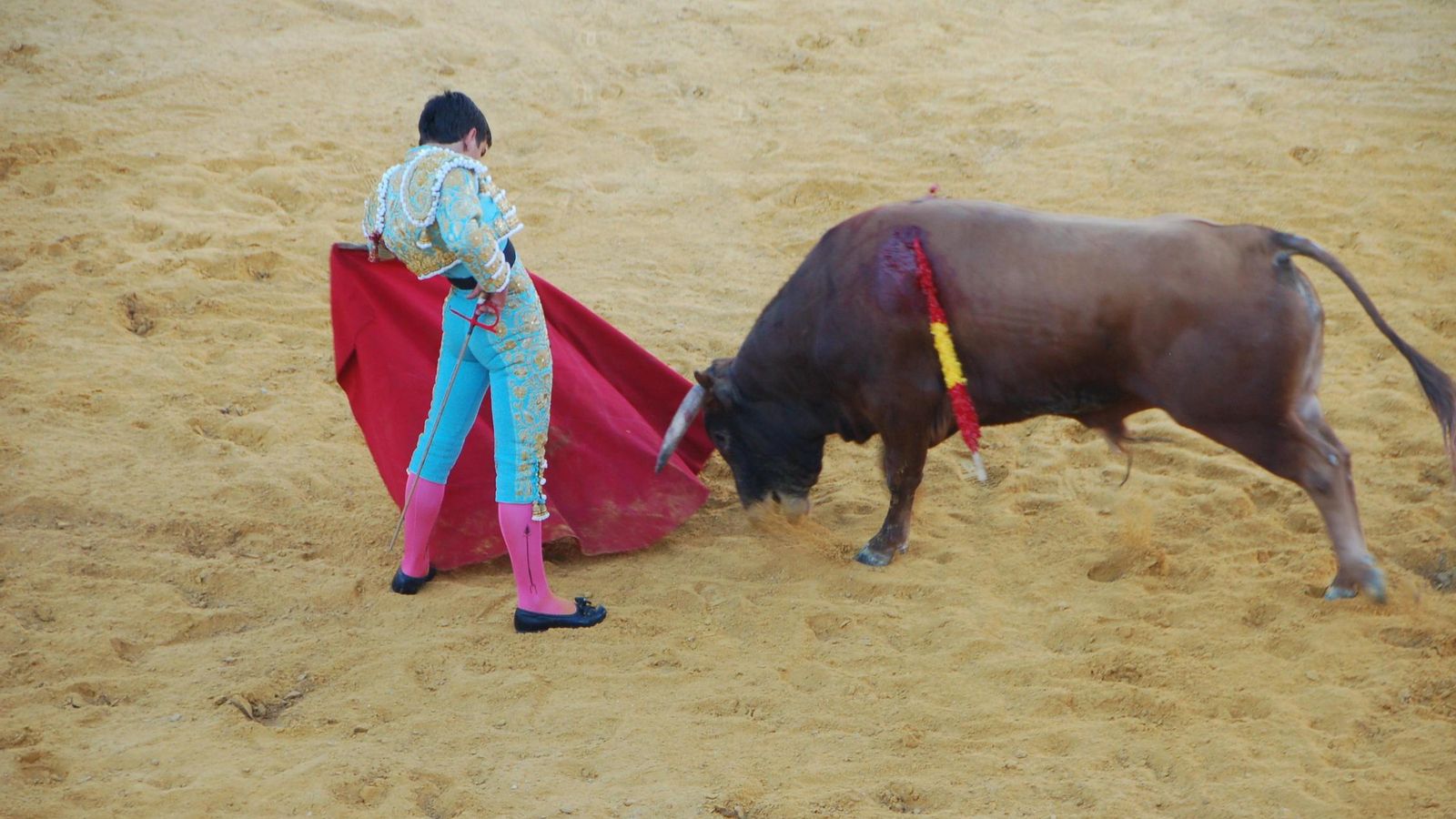 Vistoso natural de Isamel Martín