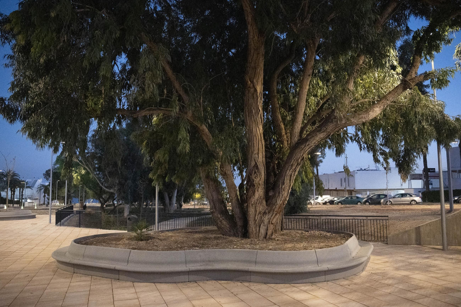 Las imágenes de la inauguración de la primera fase de la adecuación de la Rambla San Antonio de Aguadulce
