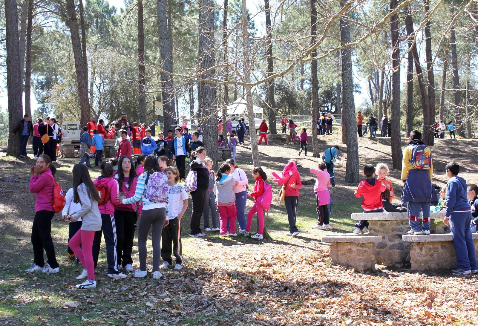 Las pruebas se realizan en seis municipios, mientras que la final será en la Ciudad Deportiva..