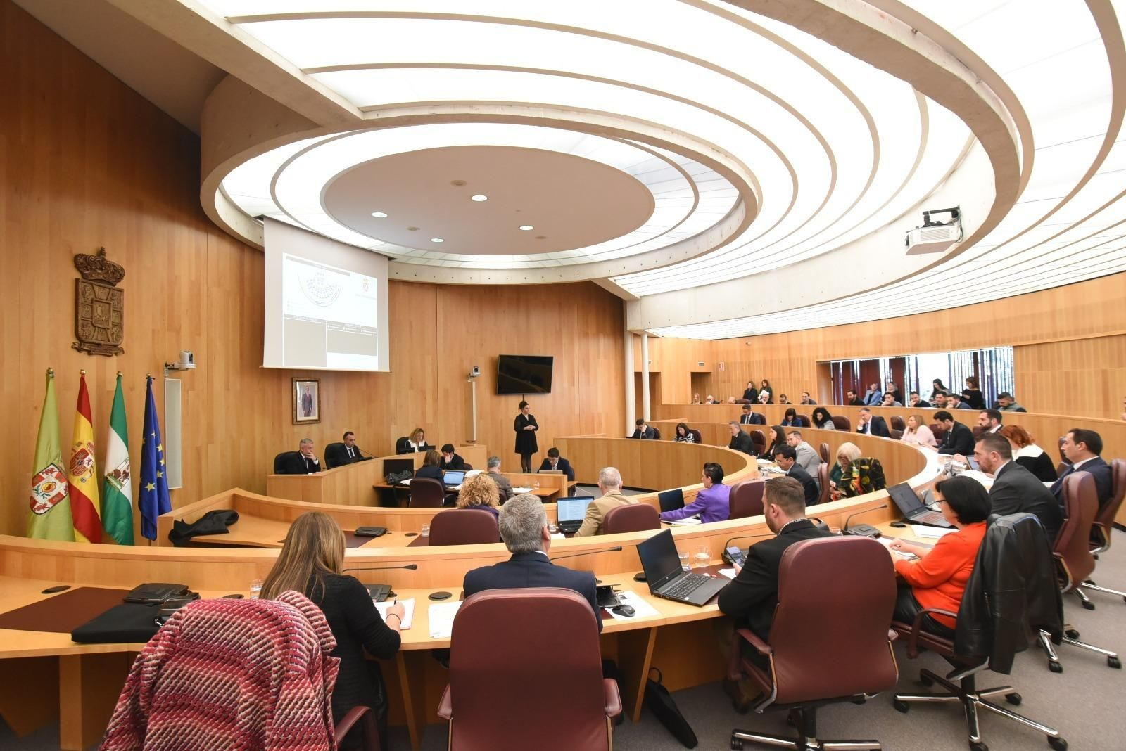 Imagen del Pleno del mes de febrero celebrado en la Diputación de Granada