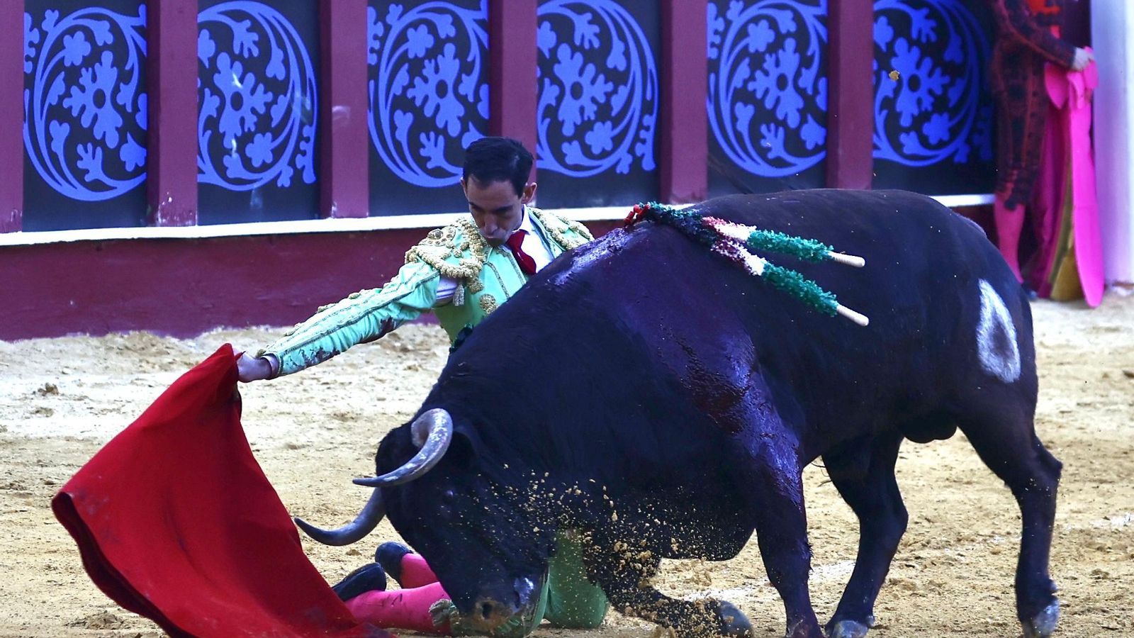 Muletazo de rodillas de Fortes al toro premiado con la vuelta al ruedo.