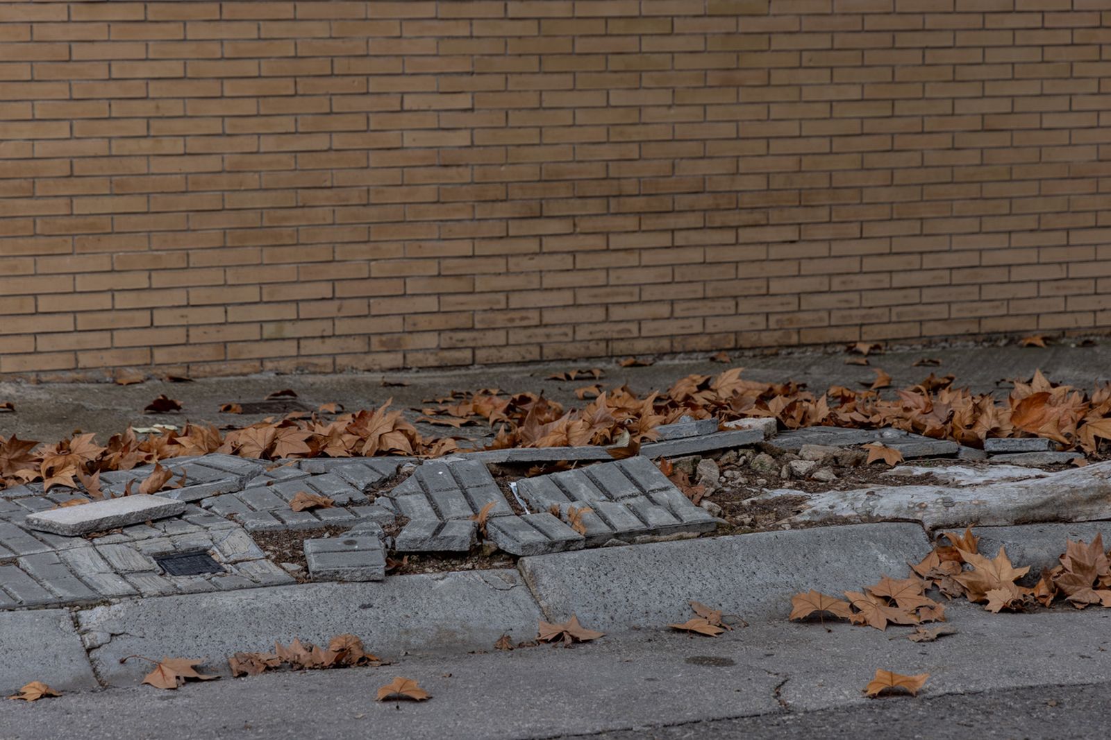 El estado de deterioro del polígono de Los Olivares