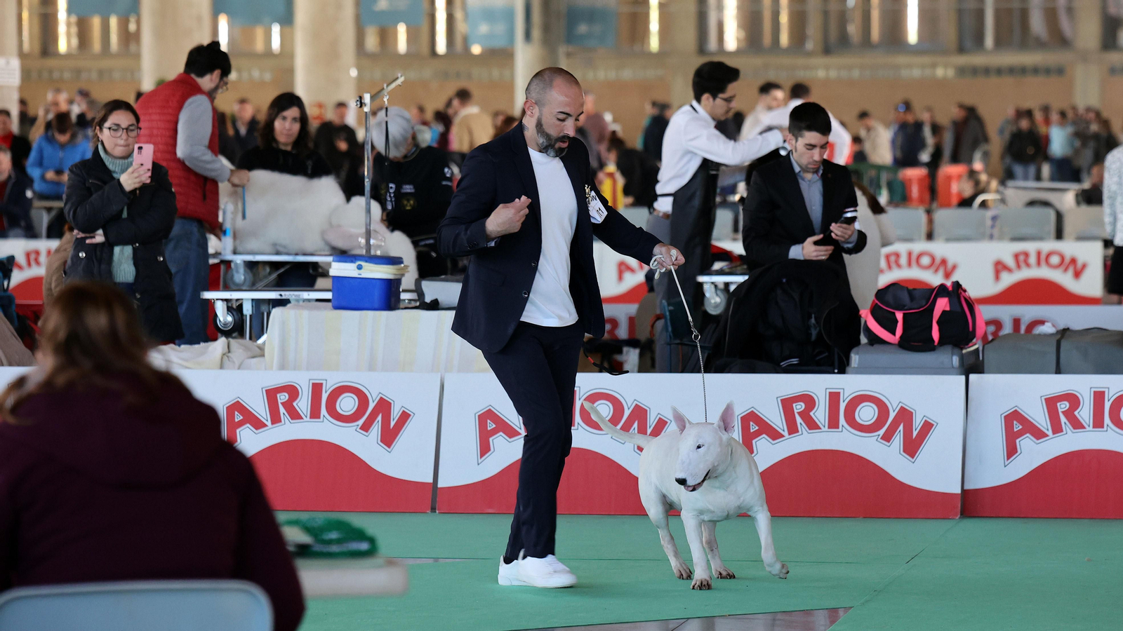 Imágenes de la 49ª edición de la Exposición Nacional Canina y la 25ª edición de la Exposición Internacional Canina en IFECA Jerez