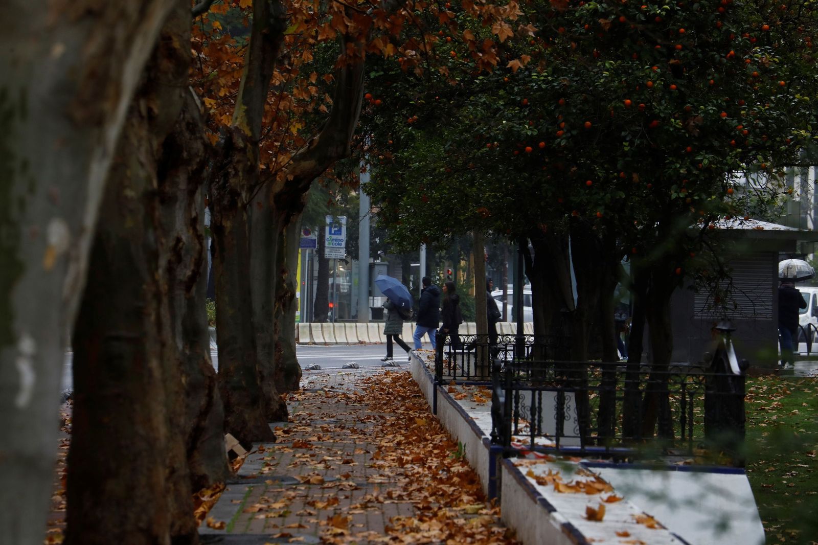 El paso de la borrasca Goretti por Córdoba