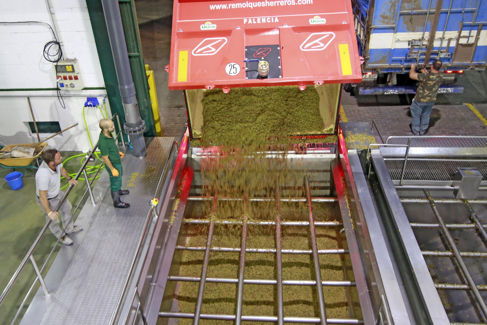 Uno de los camiones descarga en el lagar la uva recogida durante la madrugada del lunes.