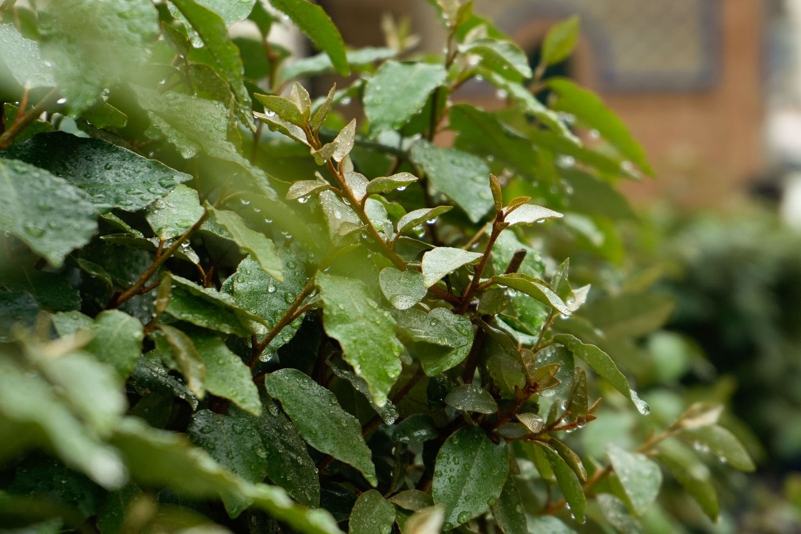 Las imágenes más destacadas del miércoles 30 de abril en Huelva