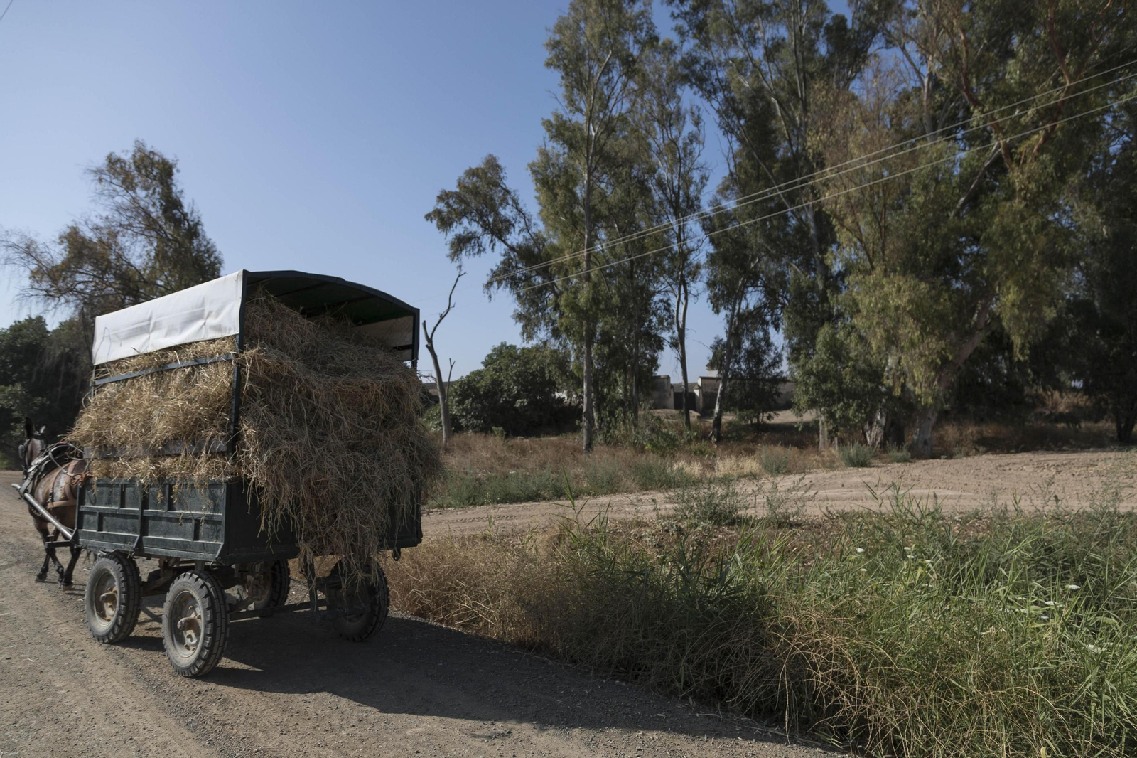 El cortijo de Gambogaz, en imágenes