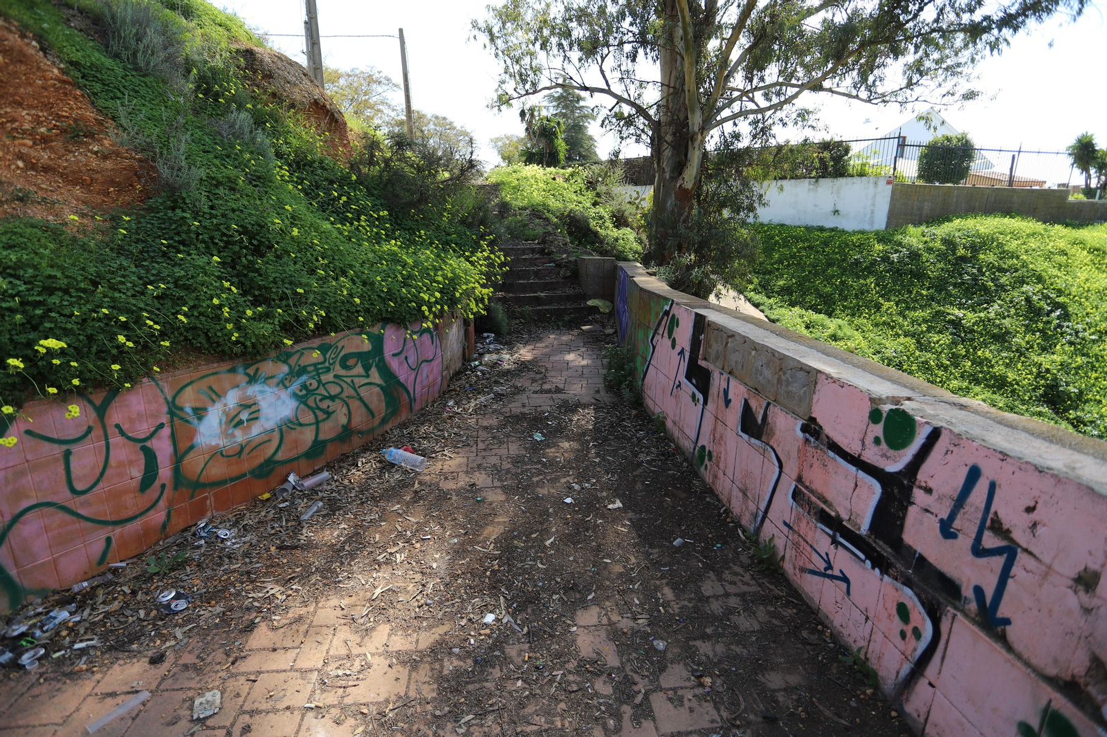 Imágenes del mirador del Conquero, de los cabezos y Fuentevieja
